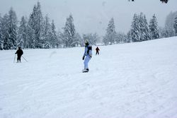 Alta Val Badia (146), Chiara R (43), Sci Alpino (290)